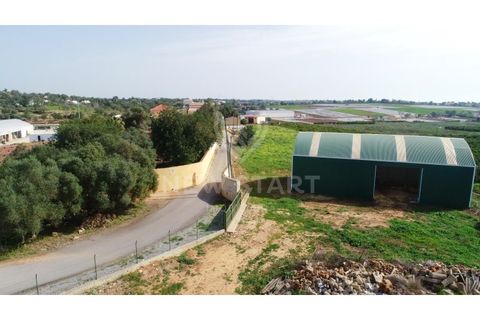 Farm i Quelfes, Faro, Quelfes - € 2.250.000 | Ref: 230047 - foto 14