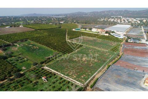 Farm i Quelfes, Faro, Quelfes - € 2.250.000 | Ref: 230047 - foto 15