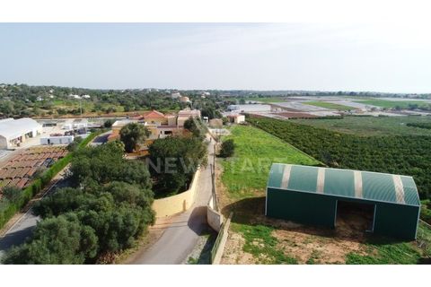 Farm i Quelfes, Faro, Quelfes - € 2.250.000 | Ref: 230047 - foto 16