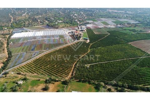 Farm i Quelfes, Faro, Quelfes - € 2.250.000 | Ref: 230047 - foto 17