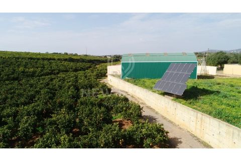 Farm i Quelfes, Faro, Quelfes - € 2.250.000 | Ref: 230047 - foto 18