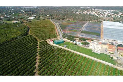 Farm i Quelfes, Faro, Quelfes - € 2.250.000 | Ref: 230047 - foto 19