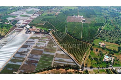 Farm i Quelfes, Faro, Quelfes - € 2.250.000 | Ref: 230047 - foto 20