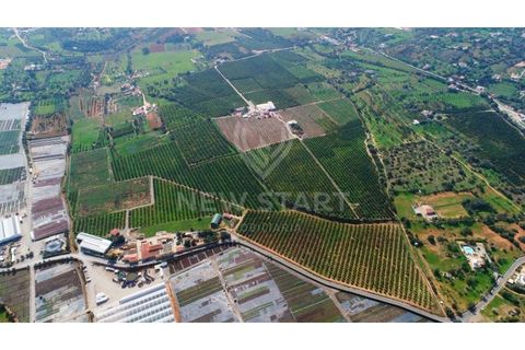 Farm i Quelfes, Faro, Quelfes - € 2.250.000 | Ref: 230047 - foto 21