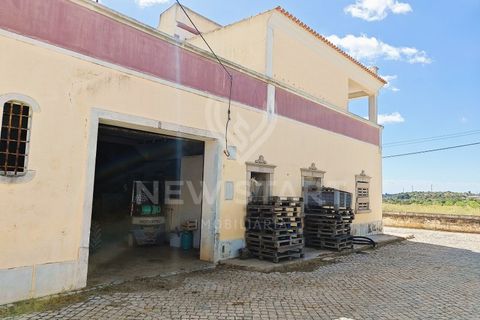 Farm i Quelfes, Faro, Quelfes - € 2.250.000 | Ref: 230047 - foto 22