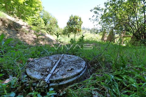 Helårsgrund i Amares, Braga, Amares - € 69.500 | Ref: 037-2493 - foto 6