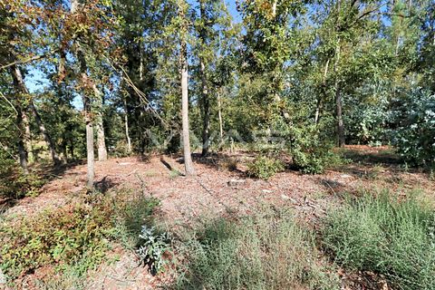 Helårsgrund i Amares, Braga, Amares - € 92.500 | Ref: 037-2569 - foto 4