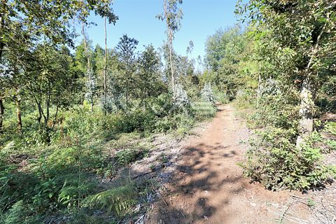 Helårsgrund i Amares, Braga, Amares - € 92.500 | Ref: 037-2569 - foto 6
