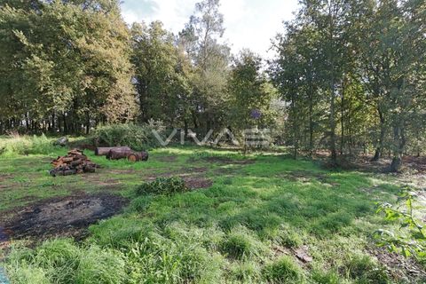 Helårsgrund i Amares, Braga, Amares - € 69.500 | Ref: 037-2591 - foto 1