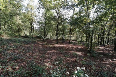 Helårsgrund i Amares, Braga, Amares - € 69.500 | Ref: 037-2591 - foto 3