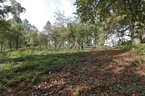 Helårsgrund i Amares, Braga, Amares - € 69.500 | Ref: 037-2591 - foto 4