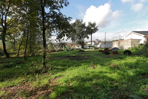 Helårsgrund i Amares, Braga, Amares - € 69.500 | Ref: 037-2591 - foto 5