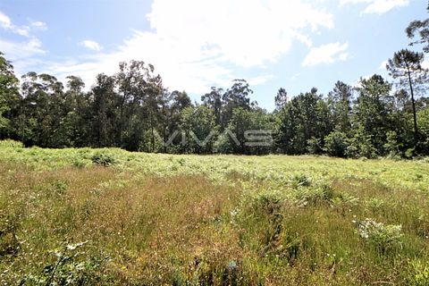 Helårsgrund i Vila Verde, Braga, Vila Verde - € 29.900 | Ref: 037-2836 - foto 2