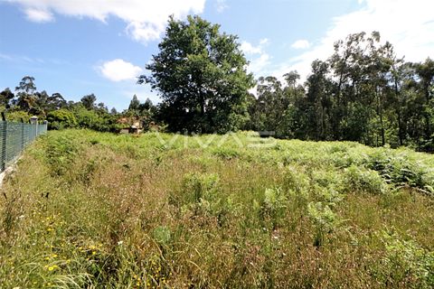 Helårsgrund i Vila Verde, Braga, Vila Verde - € 29.900 | Ref: 037-2836 - foto 3
