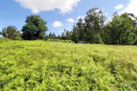 Helårsgrund i Vila Verde, Braga, Vila Verde - € 29.900 | Ref: 037-2836 - foto 4