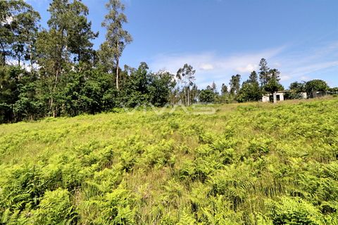 Helårsgrund i Vila Verde, Braga, Vila Verde - € 29.900 | Ref: 037-2836 - foto 5