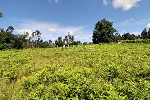 Helårsgrund i Vila Verde, Braga, Vila Verde - € 29.900 | Ref: 037-2836 - foto 6