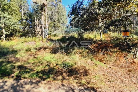 Terra a Amares, Braga, Amares - € 15.000 | Ref: A037-2934 - foto 2