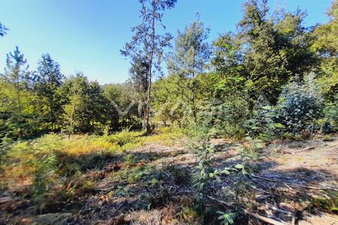 Terra a Amares, Braga, Amares - € 15.000 | Ref: A037-2934 - foto 3