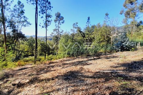 Terra a Amares, Braga, Amares - € 15.000 | Ref: A037-2934 - foto 4