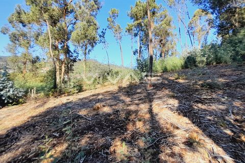 Terra a Amares, Braga, Amares - € 15.000 | Ref: A037-2934 - foto 5