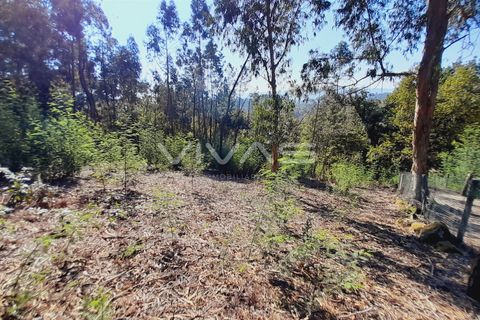 Terra a Amares, Braga, Amares - € 15.000 | Ref: A037-2934 - foto 6