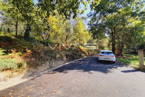 Terra a Amares, Braga, Amares - € 15.000 | Ref: A037-2934 - foto 8