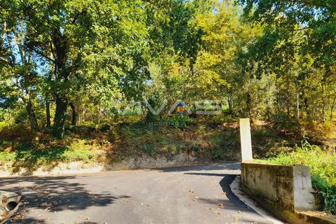 Terra a Amares, Braga, Amares - € 15.000 | Ref: A037-2934 - foto 9