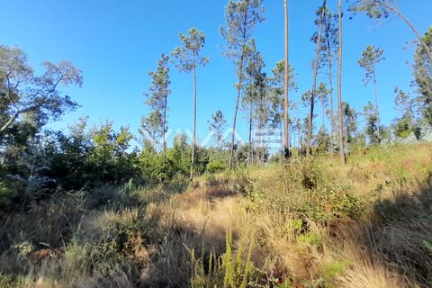 Helårsgrund i Amares, Braga, Amares - € 45.000 | Ref: A037-2935 - foto 2