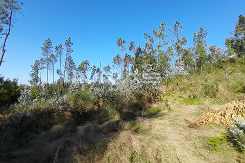 Helårsgrund i Amares, Braga, Amares - € 45.000 | Ref: A037-2935 - foto 3