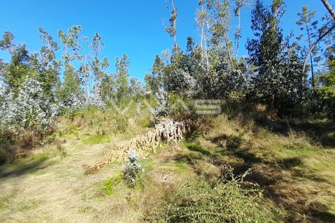 Helårsgrund i Amares, Braga, Amares - € 45.000 | Ref: A037-2935 - foto 4