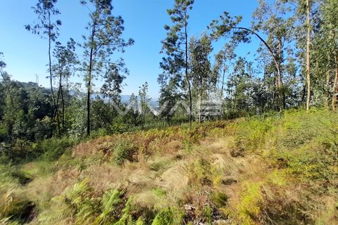 Helårsgrund i Amares, Braga, Amares - € 45.000 | Ref: A037-2935 - foto 5