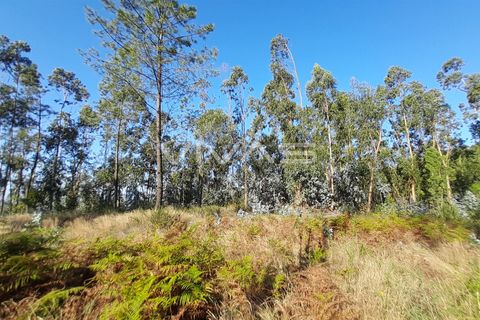 Helårsgrund i Amares, Braga, Amares - € 45.000 | Ref: A037-2935 - foto 6