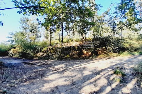 Helårsgrund i Amares, Braga, Amares - € 45.000 | Ref: A037-2935 - foto 7