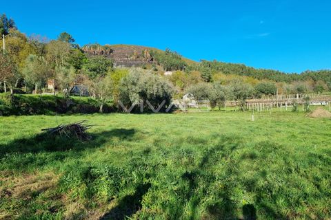 Villa i Vila Verde, Braga, Vila Verde - € 115.000 | Ref: A037-2999 - foto 9