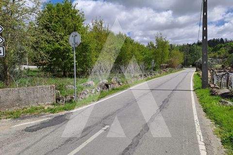 Helårsgrund i Viseu, Viseu, Viseu - € 95.000 | Ref: 1180310/23VS - foto 3