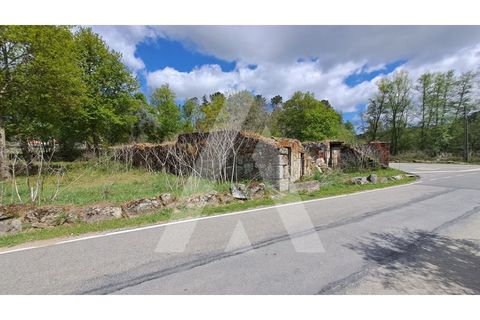 Helårsgrund i Viseu, Viseu, Viseu - € 95.000 | Ref: 1180310/23VS - foto 5