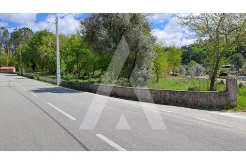 Helårsgrund i Viseu, Viseu, Viseu - € 95.000 | Ref: 1180310/23VS - foto 10