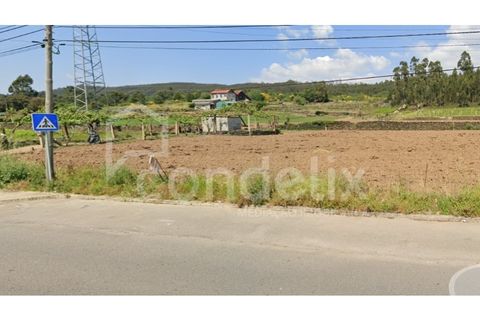 Helårsgrund i Valongo, Porto, Valongo - € 380.000 | Ref: 98519 - foto 2