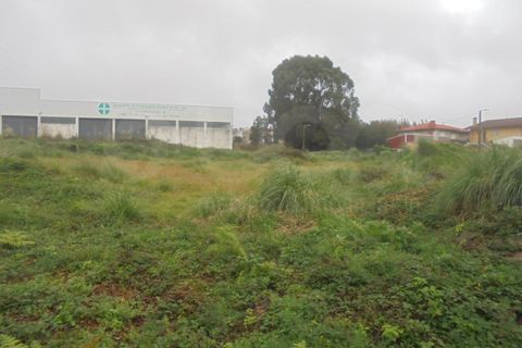 Terra a Esmoriz, Aveiro, Esmoriz - € 240.000 | Ref: 41641 - foto 2