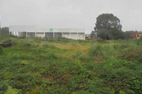 Terra a Esmoriz, Aveiro, Esmoriz - € 240.000 | Ref: 41641 - foto 3