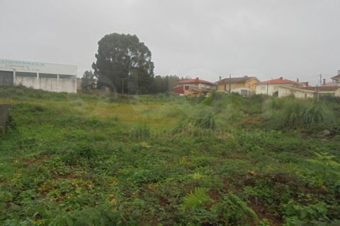 Terra a Esmoriz, Aveiro, Esmoriz - € 240.000 | Ref: 41641 - foto 4