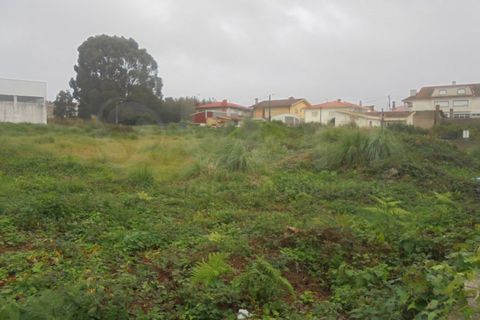 Terra a Esmoriz, Aveiro, Esmoriz - € 240.000 | Ref: 41641 - foto 5