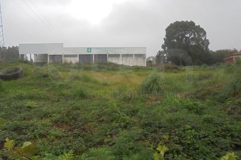 Terra a Esmoriz, Aveiro, Esmoriz - € 240.000 | Ref: 41641 - foto 8