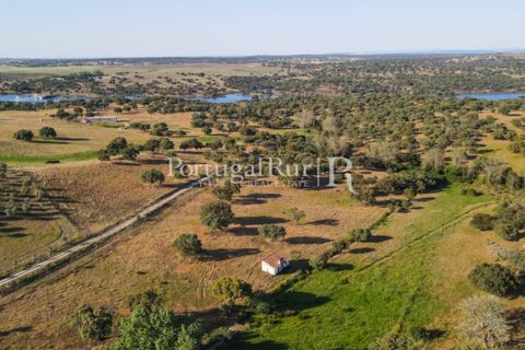 Landejendom i Avis, Portalegre, Avis - € 330.000 | Ref: 1119-3 - foto 1