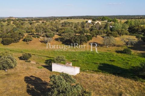 Landejendom i Avis, Portalegre, Avis - € 330.000 | Ref: 1119-3 - foto 2