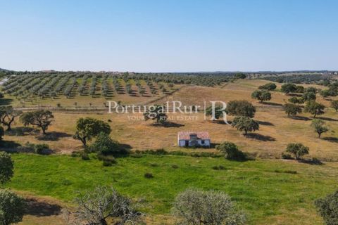 Landejendom i Avis, Portalegre, Avis - € 330.000 | Ref: 1119-3 - foto 3