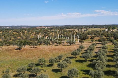 Landejendom i Avis, Portalegre, Avis - € 330.000 | Ref: 1119-3 - foto 6