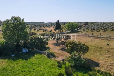 Landejendom i Avis, Portalegre, Avis - € 330.000 | Ref: 1119-3 - foto 7