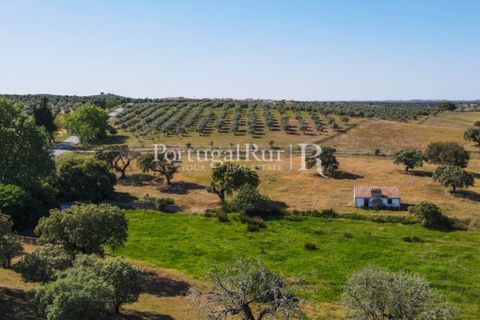 Landejendom i Avis, Portalegre, Avis - € 330.000 | Ref: 1119-3 - foto 8